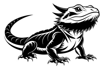  bearded dragon  silhouetted 