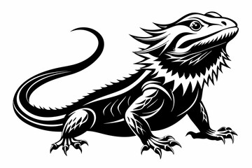  bearded dragon  silhouetted 