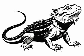  bearded dragon  silhouetted 