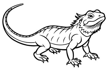  bearded dragon  silhouetted 