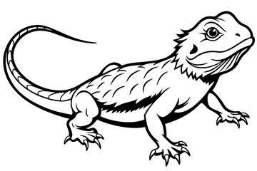  bearded dragon  silhouetted 