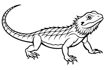 Fototapeta premium bearded dragon silhouetted 