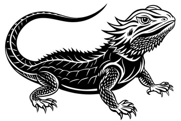  bearded dragon  silhouetted 