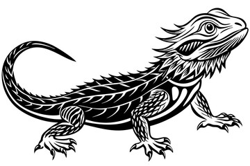  bearded dragon  silhouetted 