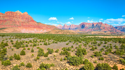 Aerial of Red Rock Mesas and Desert Terrain in Zion National Park