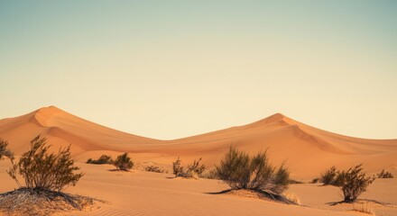 Fototapeta premium Desert with a hill in the background