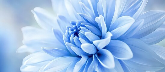 Obraz premium Captivating macro shot of a blue flower showcasing its beauty on a white canvas.