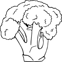 Vector illustration of broccoli with one line