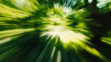 Obraz premium Abstract zoom through lush green forest, sunlight bursting.