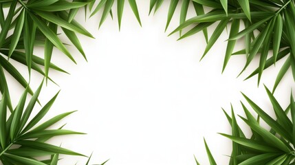 Fototapeta premium Green Bamboo Leaves Frame on a White Background for Nature Themes
