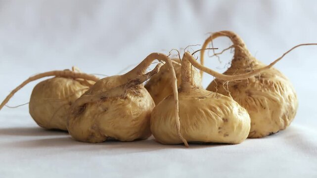 Maca tubers from Peru against a white background