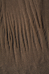 traces on sand texture beach ripples 