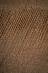 traces on sand texture beach ripples 
