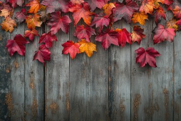Vibrant autumn leaves arranged on rustic weathered wood background.