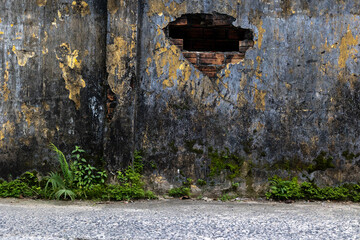 Weathered wall with exposed bricks and plants growing at base