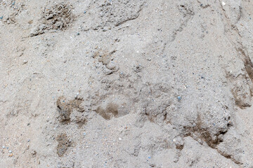 Close-up of natural sandy texture with subtle pebbles