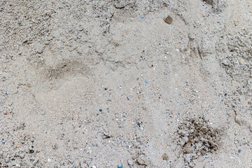 Textured natural sand surface with small pebbles and footprints