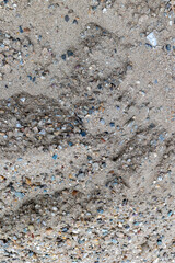 Footprints in sandy beach with pebbles and shells