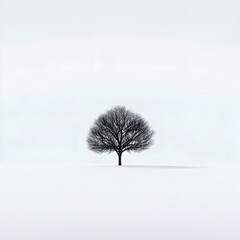 tree in winter