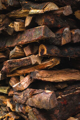 Stacked firewood: piled logs display natural texture and raw earthy tones