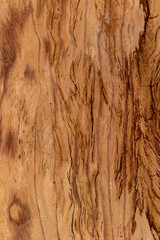 Detailed close-up of natural wood texture with rich patterns and tones