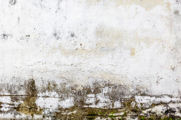 Aged white concrete wall with weathered texture and moss stains