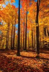 Obraz premium vibrant fall foliage displaying warm color palettes yellow brown under bright blue sky, autumn, leaves, orange, red, trees, forest, nature, season, park