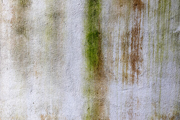 Weathered concrete wall with moss and stains texture