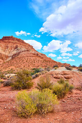 Red Rock Formations and Sparse Vegetation Under Blue Sky at Eye Level