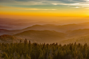 Poranek © piotrwolak