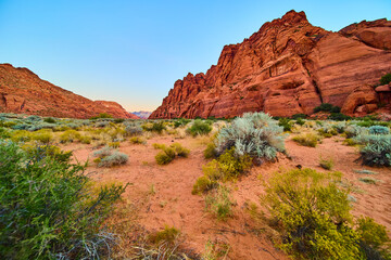 Red Rock Formations in Golden Light Snow Canyon Eye-Level View