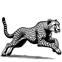 Running Cheetah
