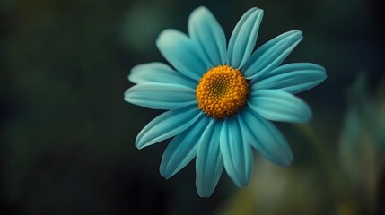 Obraz premium Vibrant purple flower in full bloom 