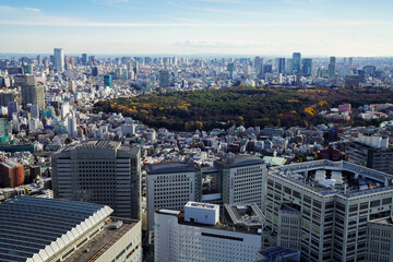 Obraz premium Tokyo Municipal Government Building Observatory