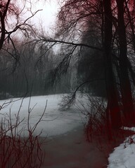 Atmospheric Black Metal forest, foggy dark spooky forest, horror mood, gloomy lake