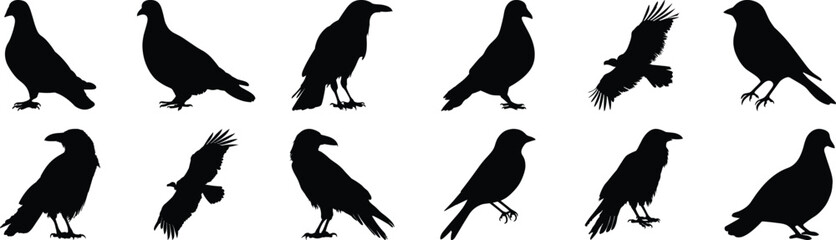 Bird silhouette set vector design big pack of animal illustration and icon