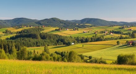 Fototapeta premium Large field of green grass with a few trees in the background