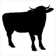 Black Cow Silhouette vector illustration
