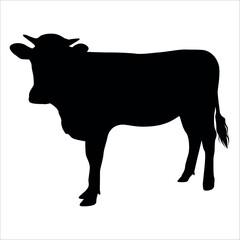 Black Cow Silhouette vector illustration