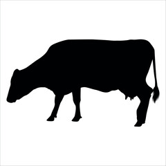 Black Cow Silhouette vector illustration