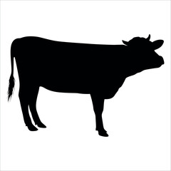Black Cow Silhouette vector illustration