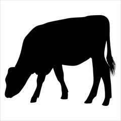 Black Cow Silhouette vector illustration
