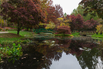 The monet bridge adorned by muted fall colors of yellow, orange and red, and reflecting in the pond in the garden.