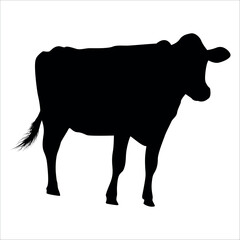 Black Cow Silhouette vector illustration
