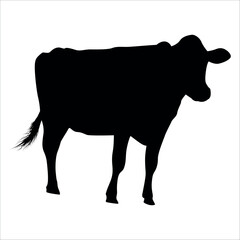 Black Cow Silhouette vector illustration