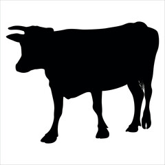 Black Cow Silhouette vector illustration