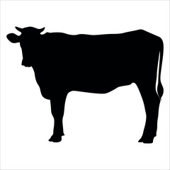 Black Cow Silhouette vector illustration
