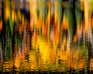 Fall colors