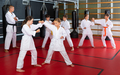 Diligent school girls practicing new karate moves in pairs in class with trainer © JackF