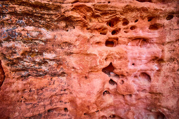 Textured Red Sandstone Surface in Utah Desert Close-Up View